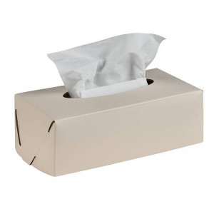 Салфетница ADJ Kleenex 23х12х7.5 см панна котта/белый 0016.16/10 Салфетница ADJ Kleenex 23х12х7.5 см панна котта/белый 0016.16/10