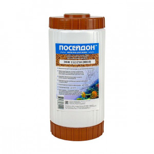 Картридж для фильтра Посейдон ЭФЖ 112/250 BB10 ЭФЖ112/250(BB10) Картридж для фильтра Посейдон ЭФЖ 112/250 BB10 ЭФЖ112/250(BB10)