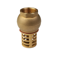 Клапан обратный Högert Technik Premium 1 ВВ PN 16 донный CV63006