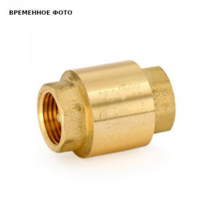 Клапан обратный Etalon 1 1/4 пружинный с металлическим затвором 223G5001