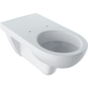 Унитаз подвесной Geberit Selnova Comfort 700 мм 500.261.01.1 Унитаз подвесной Geberit Selnova Comfort 700 мм 500.261.01.1