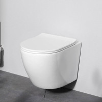 Унитаз подвесной AM.PM Like AquaSpin с сиденьем микролифт C801900SC