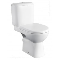 Чаша унитаза напольная Roca Access 48 см ZRU9307684