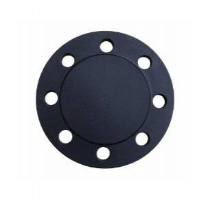 Фланец глухой Watts DN 125 с 4 винтами и прокладкой EPDM T699024 Фланец глухой Watts DN 125 с 4 винтами и прокладкой EPDM T699024